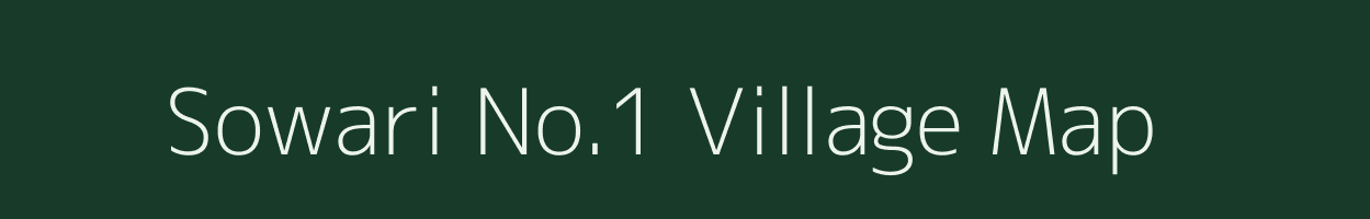Sowari No.1 village map in Assam