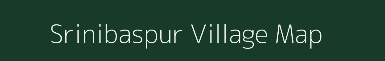 Srinibaspur village map in Odisha