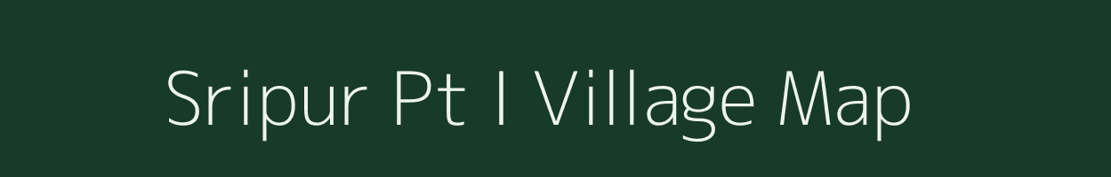 Sripur Pt I village map in Assam