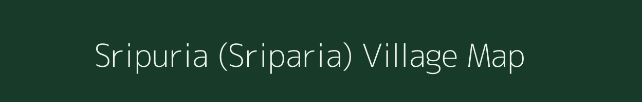 Sripuria (Sriparia) village map in Assam