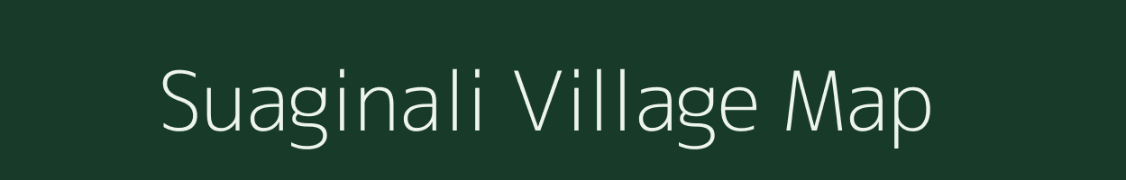 Suaginali village map in Odisha