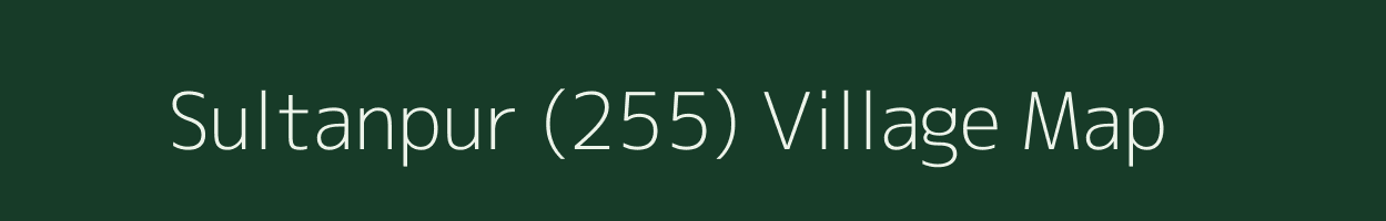 Sultanpur (255) village map in Haryana