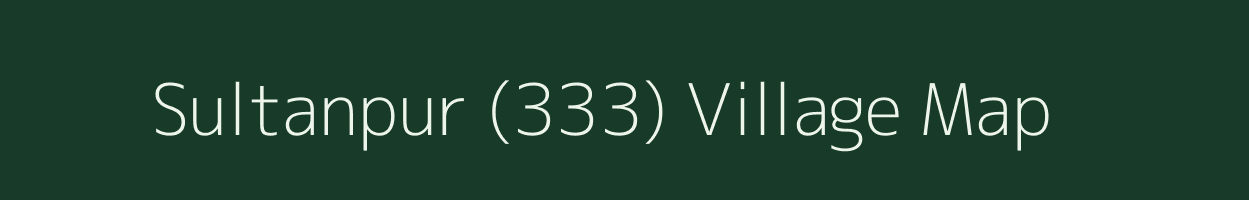 Sultanpur (333) village map in Punjab