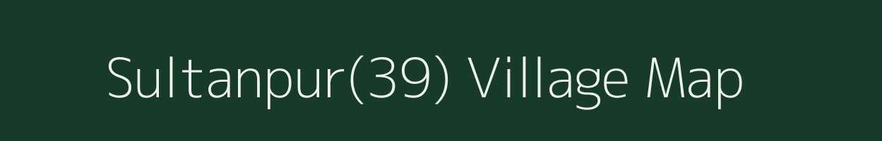 Sultanpur(39) village map in Haryana