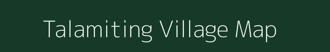 Talamiting village map in Odisha