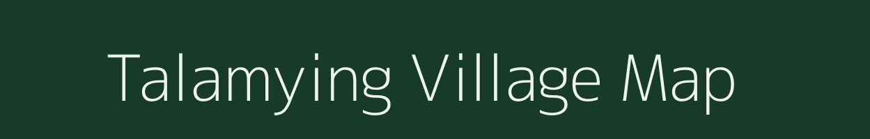 Talamying village map in Arunachal Pradesh