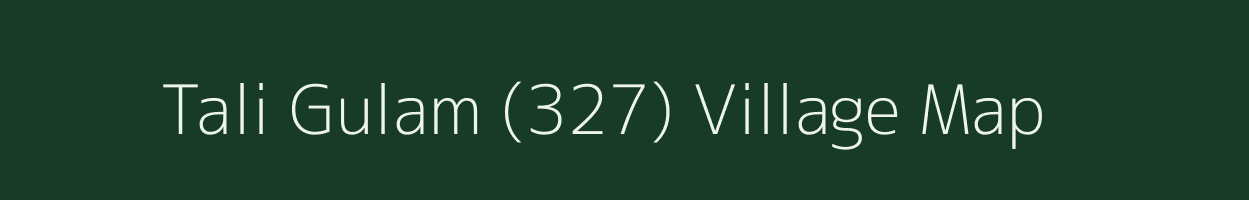 Tali Gulam (327) village map in Punjab