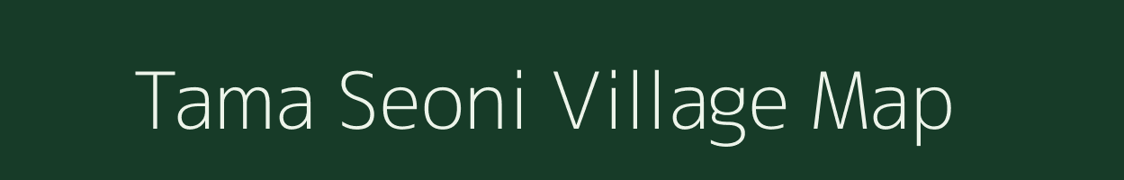 Tama Seoni village map in Chhattisgarh