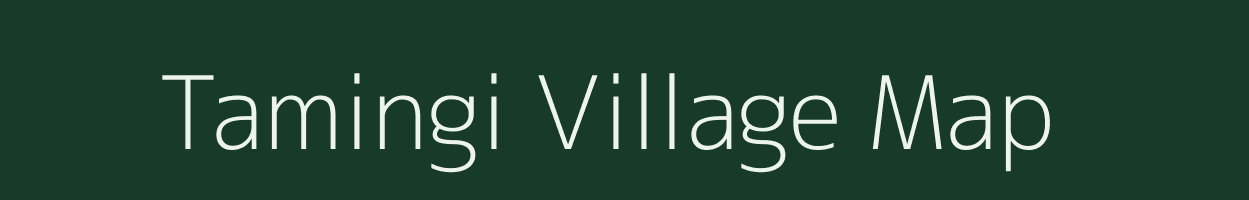 Tamingi village map in Odisha