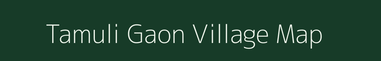 Tamuli Gaon village map in Assam