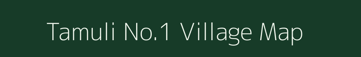 Tamuli No.1 village map in Assam