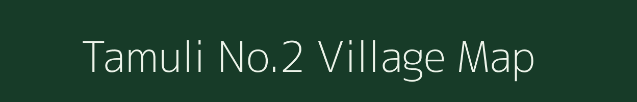 Tamuli No.2 village map in Assam