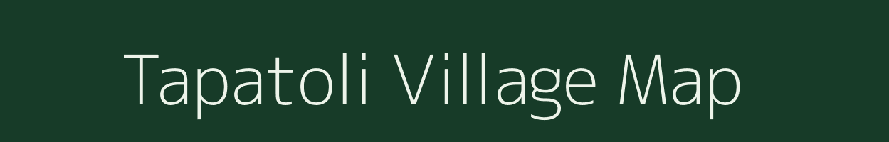 Tapatoli village map in Assam