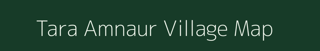 Tara Amnaur village map in Bihar
