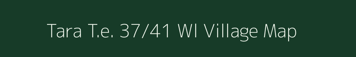 Tara T.e. 37/41 Wl village map in Assam