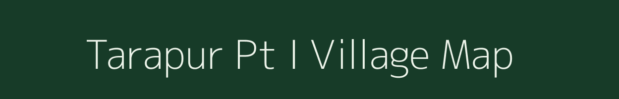 Tarapur Pt I village map in Assam