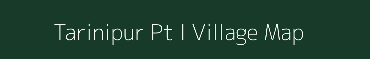 Tarinipur Pt I village map in Assam