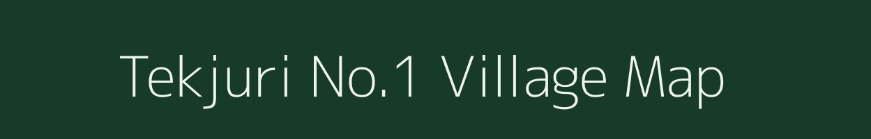 Tekjuri No.1 village map in Assam