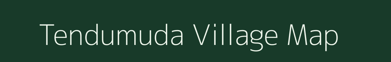 Tendumuda village map in Chhattisgarh