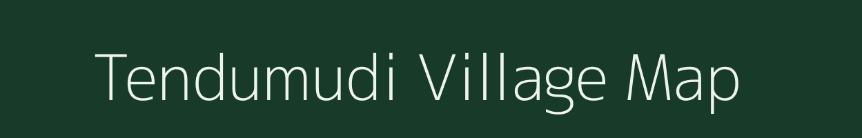 Tendumudi village map in Chhattisgarh