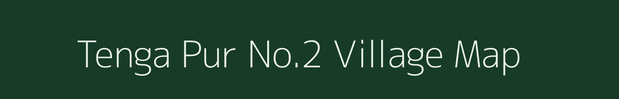 Tenga Pur No.2 village map in Assam