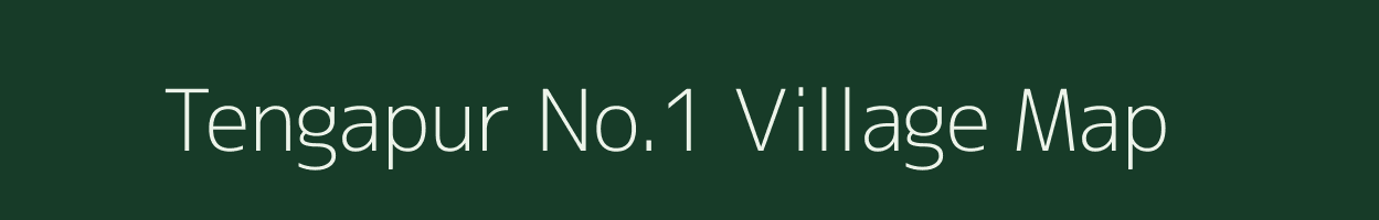 Tengapur No.1 village map in Assam