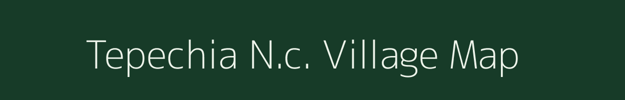 Tepechia N.c. village map in Assam