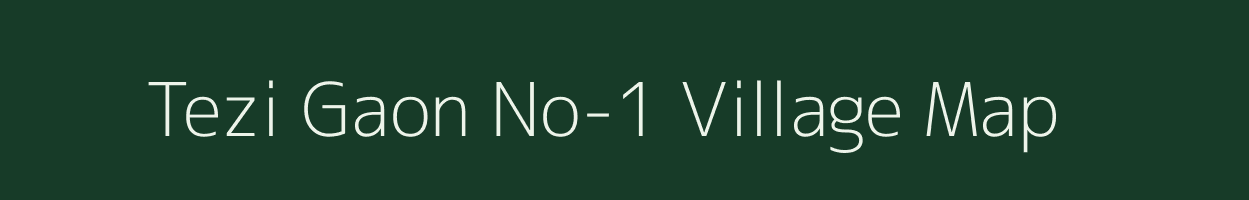 Tezi Gaon No-1 village map in Assam