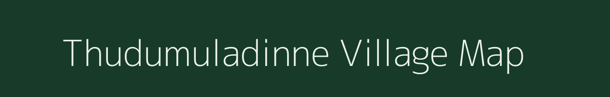Thudumuladinne village map in Andhra Pradesh