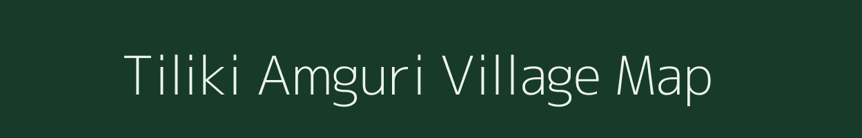 Tiliki Amguri village map in Assam