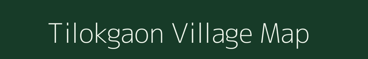 Tilokgaon village map in Assam