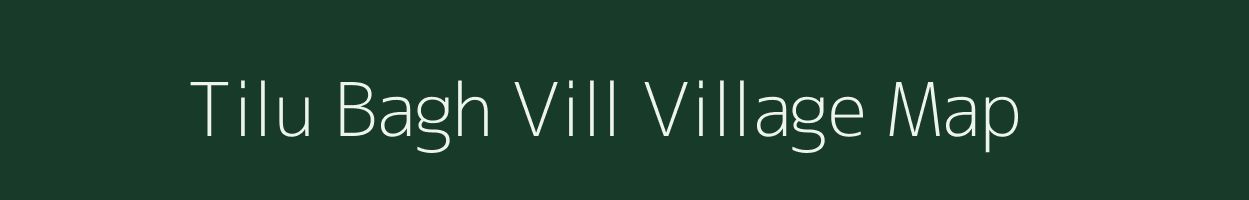 Tilu Bagh Vill village map in Assam
