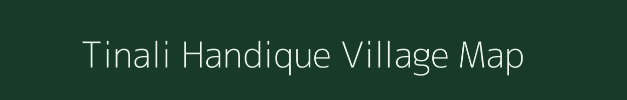 Tinali Handique village map in Assam