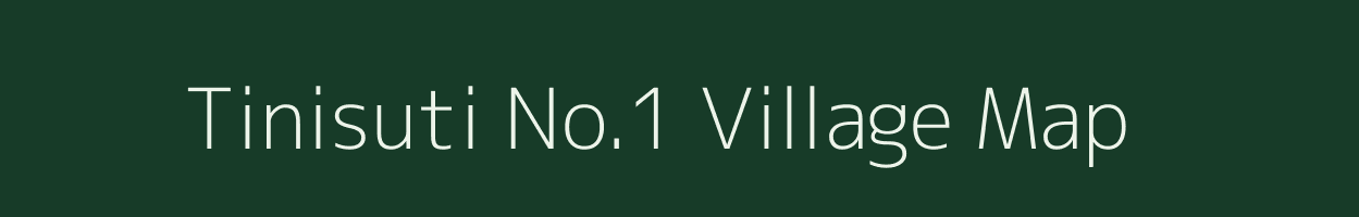 Tinisuti No.1 village map in Assam