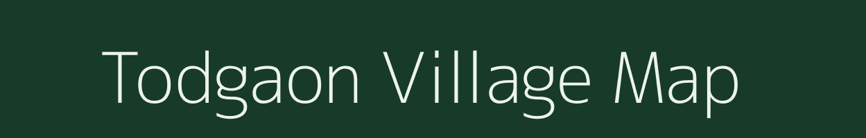 Todgaon village map in Chhattisgarh