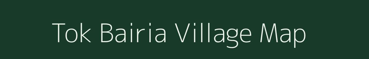 Tok Bairia village map in Bihar