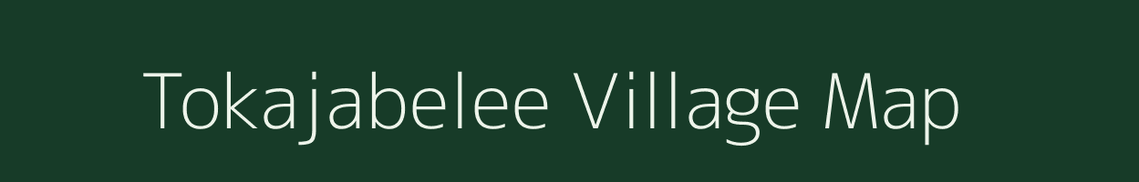 Tokajabelee village map in Chhattisgarh