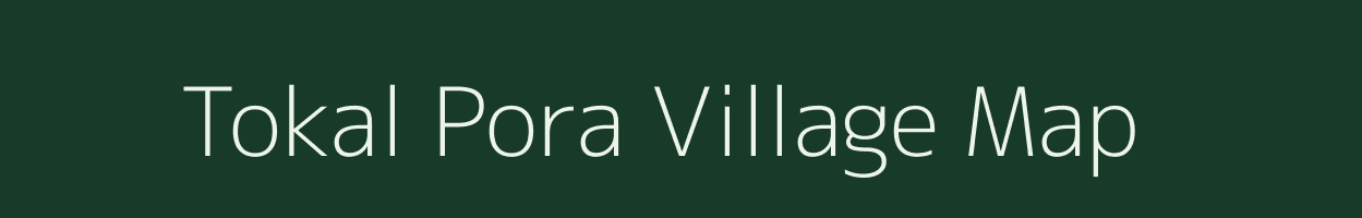 Tokal Pora village map in Jammu & Kashmir