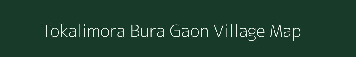 Tokalimora Bura Gaon village map in Assam