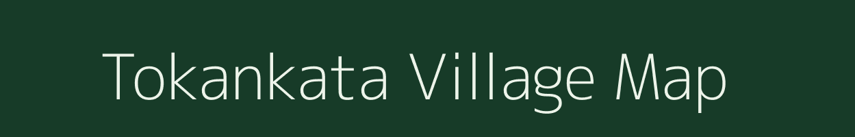 Tokankata village map in Assam