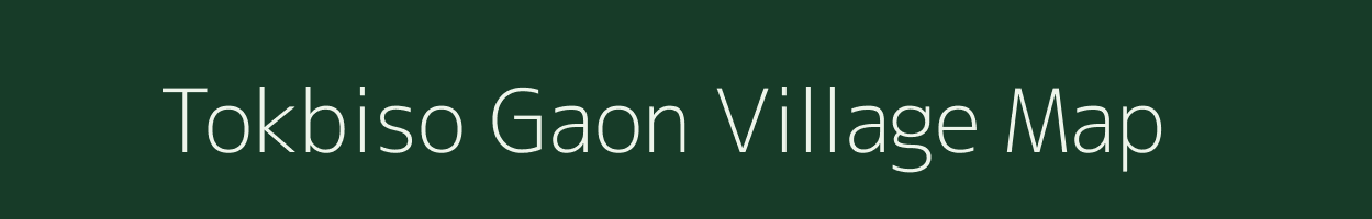 Tokbiso Gaon village map in Assam