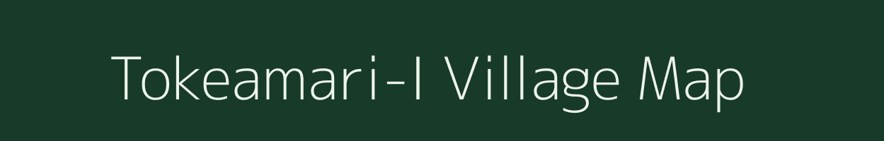 Tokeamari-I village map in Assam