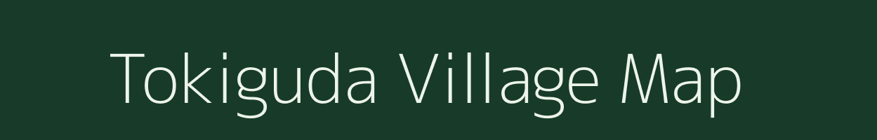 Tokiguda village map in Odisha