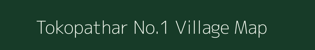 Tokopathar No.1 village map in Assam
