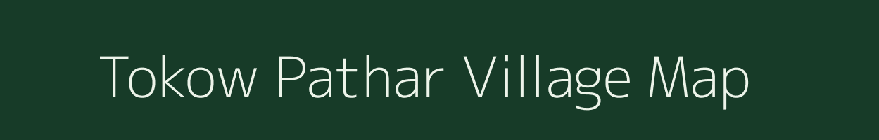 Tokow Pathar village map in Assam