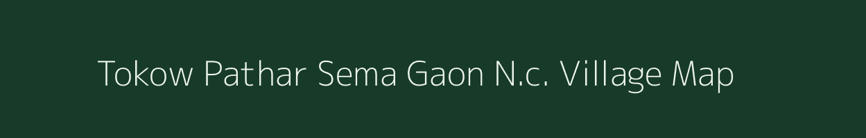 Tokow Pathar Sema Gaon N.c. village map in Assam