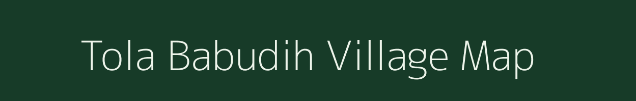 Tola Babudih village map in Bihar