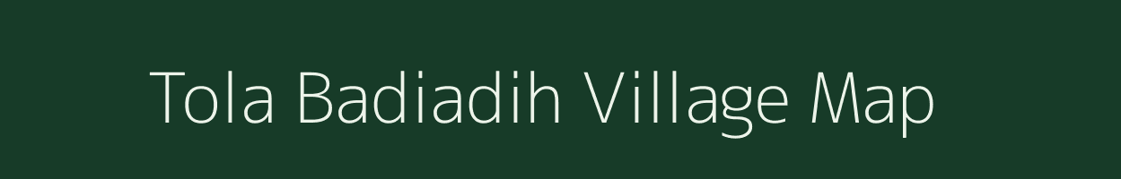 Tola Badiadih village map in Bihar