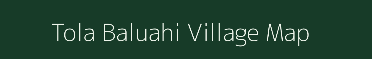 Tola Baluahi village map in Bihar