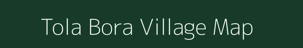 Tola Bora village map in Bihar